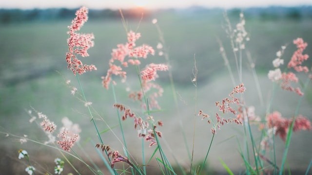 解決衝突 