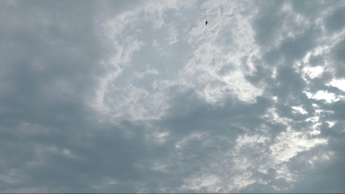 鑲金的烏雲