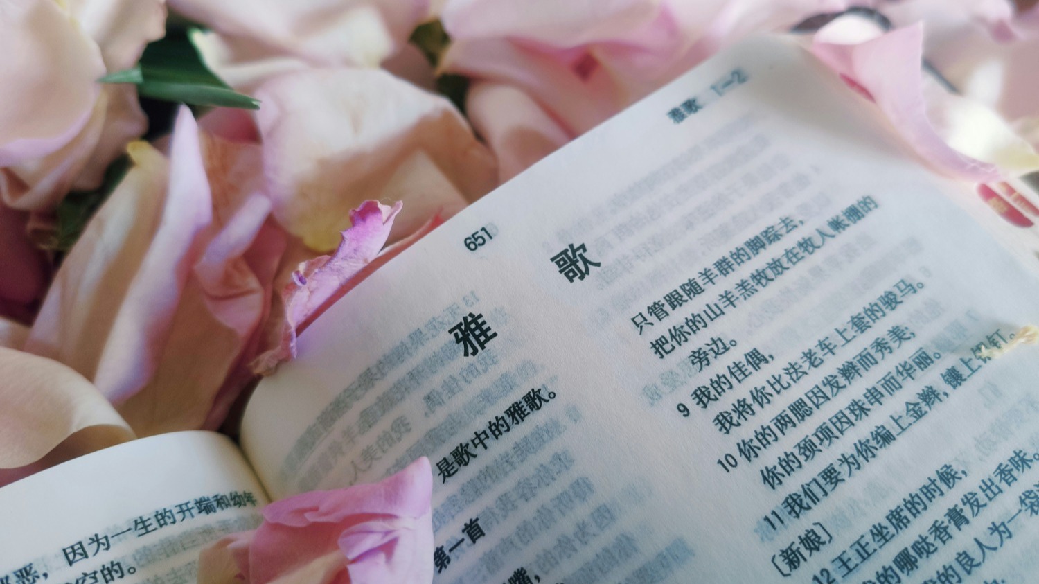 來自神的責備